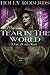 Tear in the World  (The Five Orders, #3)