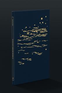 The Delicate Shoreline Beckons Us (Hardcover)