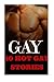 Gay: 10 Hot Gay Stories