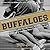 Running with the Buffaloes: A Season Inside with Mark Wetmore, Adam Goucher, and the University of Colorado Men's Cross-Country Team