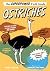Ostriches