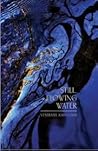 Still, Flowing Water