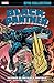 Black Panther Epic Collecti...
