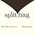 Splitting: Protecting Yourself While Divorcing Someone with Borderline or Narcissistic Personality Disorder