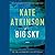 Big Sky (Jackson Brodie, #5)