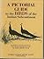A Pictorial Guide to the Birds of the Indian Subcontinent by S. Dillon Ripley