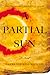 A Partial Sun (The Tinsmith's Apprentice #1)