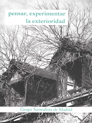Pensar, experimentar la exterioridad (Paperback)
