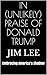 In (Unlikely) Praise of Donald Trump: Embracing America’s Shadow