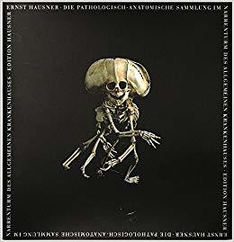 Die pathologisch-anatomische Sammlung im Narrenturm des Allgemeinen Krankenhauses (Hardcover)