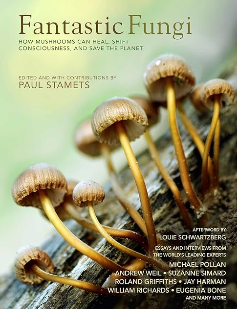 Fantastic Fungi: Expanding Consciousness, Alternative Healing, Environmental Impact // Official Book of Smash Hit Documentary