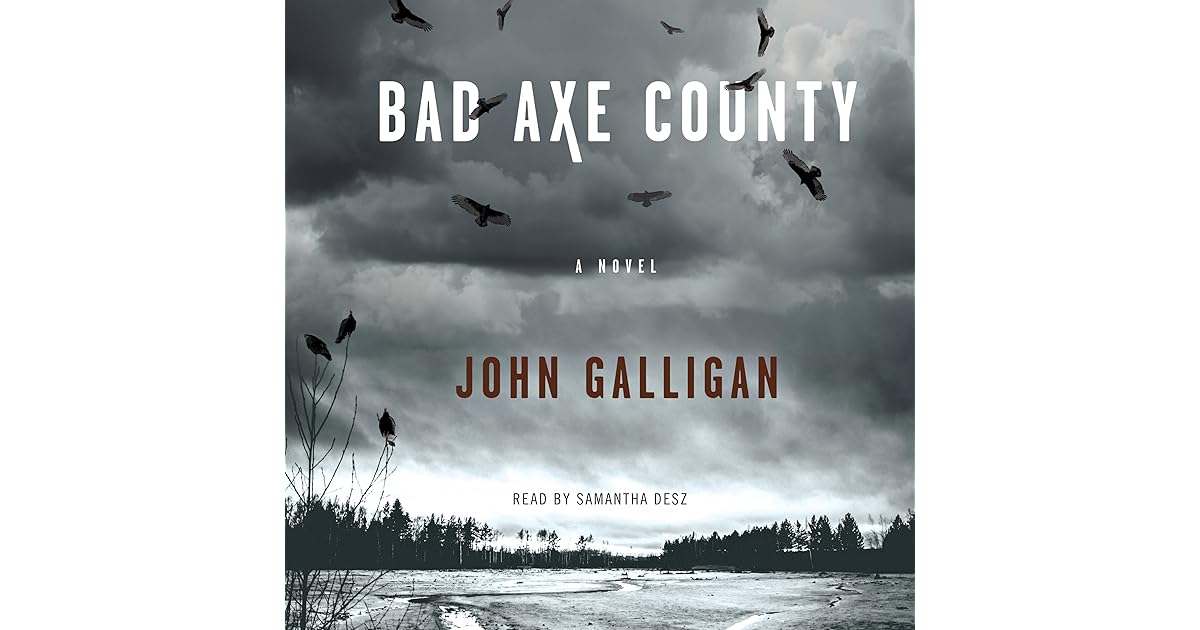 Bad Axe County by John Galligan
