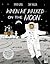 When We Walked on the Moon
