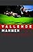 Vallende mannen (Dutch Edition)