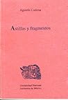 Astillas y Fragmentos