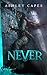 Never (Book of Never #0.5)