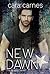 New Dawn (The Arsenal #3.5)