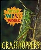 Grasshoppers (Wild Wild World)