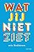 Wat jij niet ziet by Eric Lindstrom