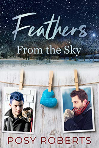 Feathers From the Sky (Kindle Edition)