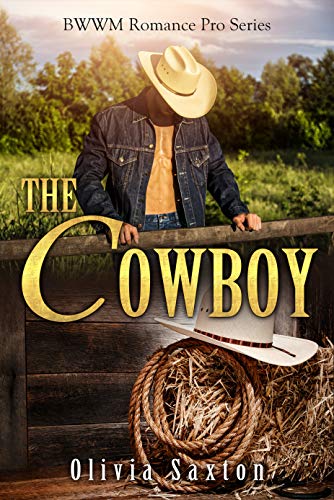 The Cowboy (BWWM Romance Pro, #4)