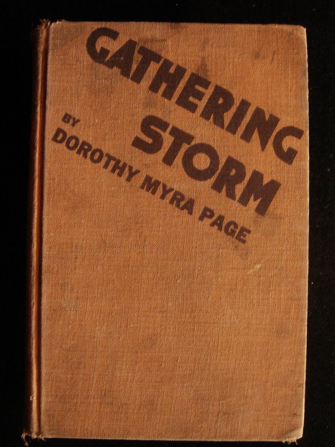 Gathering Storm: A Story of the Black Belt (Hardcover)