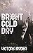 Bright Cold Day