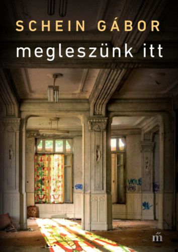 Megleszünk itt (Hardcover)