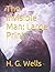 The Invisible Man