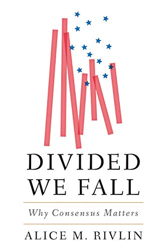 Divided We Fall: Why Consensus Matters (Kindle Edition)