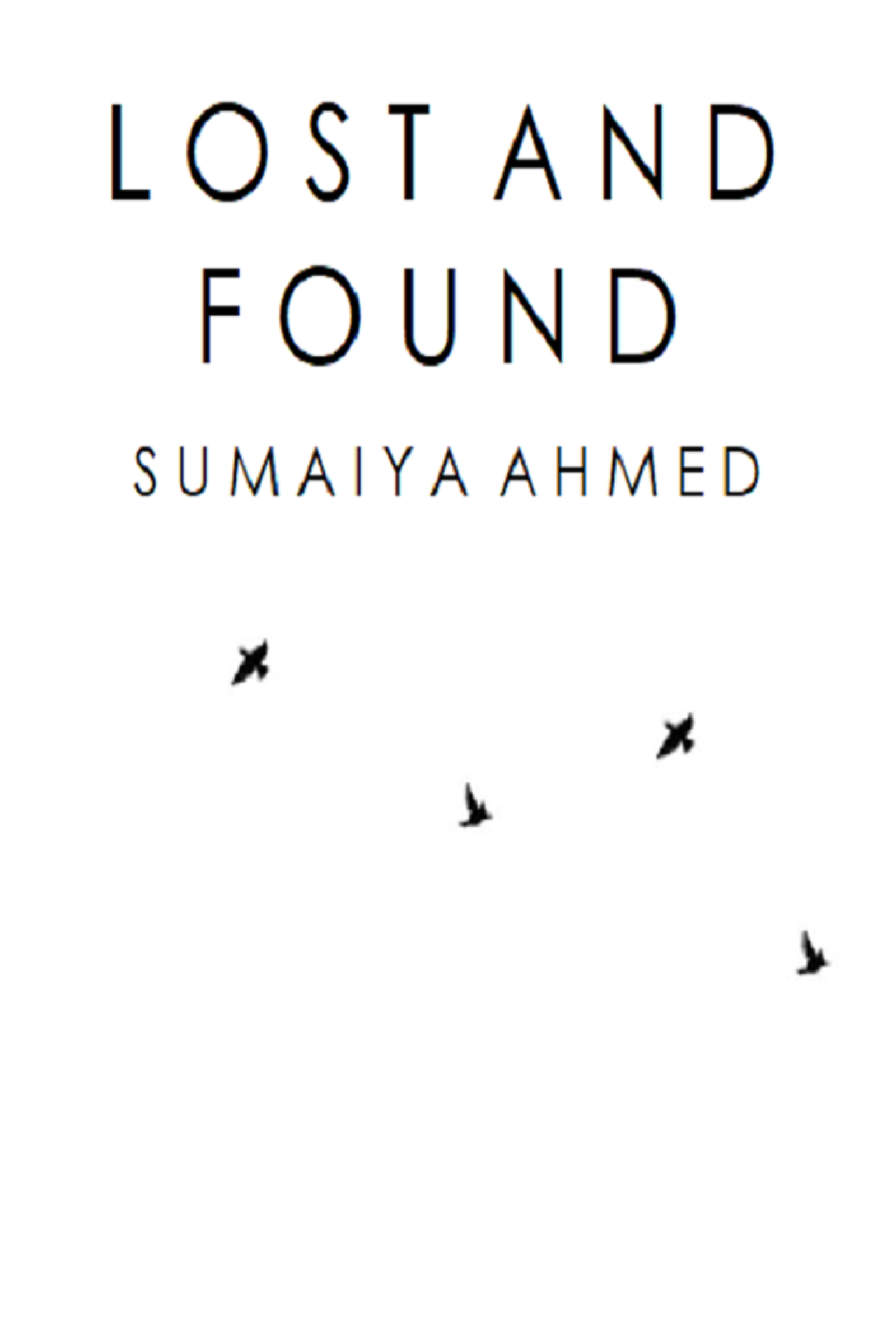 Lost and Found (Paperback)