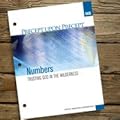 Precept Upon Precept: Numbers, Trusting God in the Wilderness Workbook