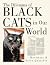 The Dilemma of Black Cats i...