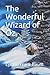 The Wonderful Wizard of Oz