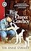Big Chance Cowboy by Teri Anne Stanley