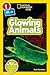 Glowing Animals (National Geographic Kids Readers, Level 1/Co-Reader)