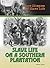 Slave Life on a Southern Pl...
