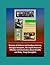 Military Immunization Communication Handbook - Reviews of Anthrax and Smallpox Vaccine, Biological Weapons, Meningitis Research, Effective Communication about Benefits and Risks, Troop Perception