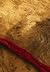 Read Thread: The Story of the Red Thread (Sternberg Press)