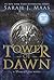 Tower of Dawn (Throne of Glass, #6)