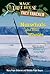 Narwhals and Other Whales: A nonfiction companion to Magic Tree House #33: Narwhal on a Sunny Night (Magic Tree House Fact Tracker)