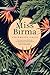 Miss Birma by Charmaine Craig