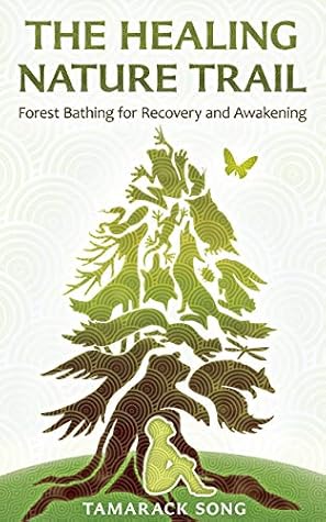 The Healing Nature Trail: Forest Bathing for Recovery and Awakening