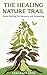 The Healing Nature Trail: Forest Bathing for Recovery and Awakening