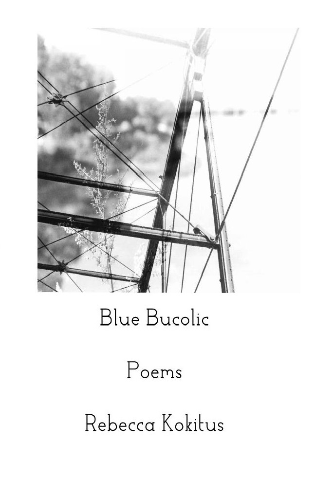 Blue Bucolic (Paperback)