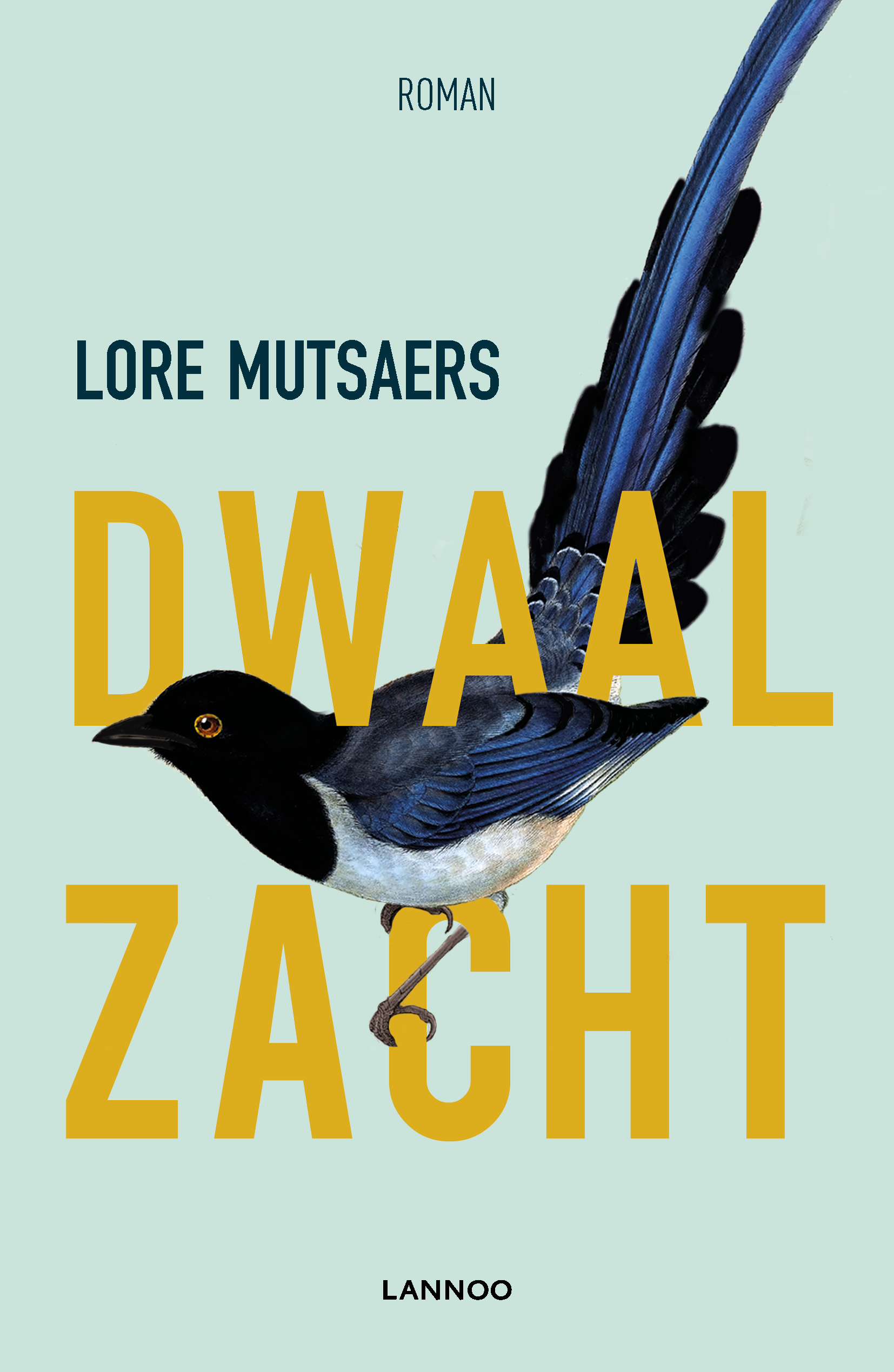 Dwaal zacht (Paperback)