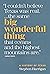 Big Wonderful Thing: A History of Texas (The Texas Bookshelf)