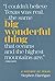 Big Wonderful Thing: A History of Texas (Texas Bookshelf)