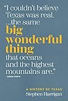Big Wonderful Thi...