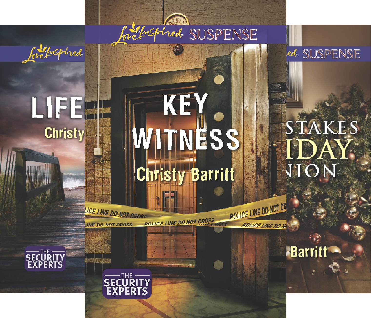 The Security Experts (3 Book Series)